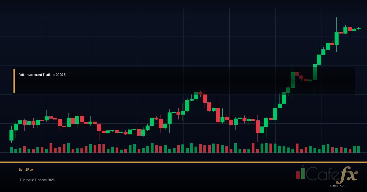 REIT กองไหนดี วิเคราะห์จากตัวเลขจริง