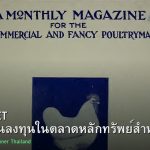 หุ้นไทย SET คู่มือเริ่มต้นลงทุนในตลาดหลักทรัพย์สำหรับมือใหม่ 2026