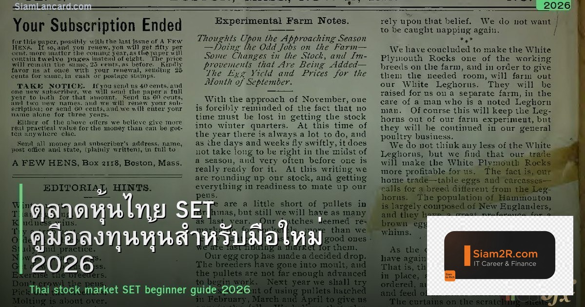 ตลาดหุ้นไทย SET คู่มือลงทุนหุ้นสำหรับมือใหม่ 2026