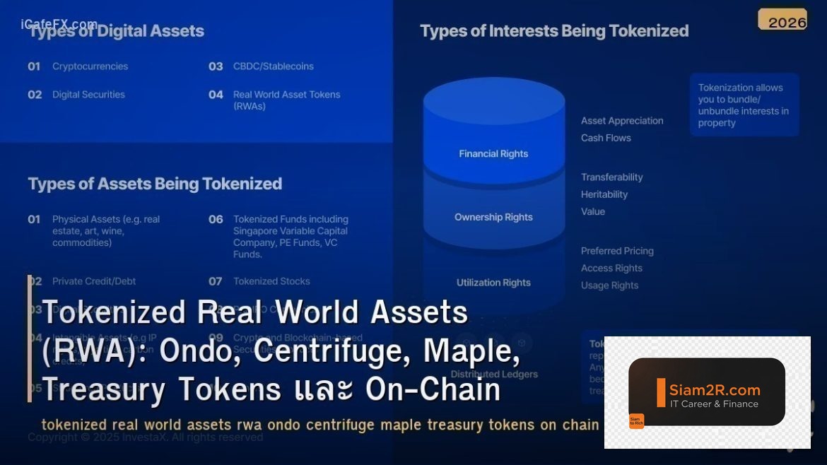 Tokenized Real World Assets (RWA): Ondo, Centrifuge, Maple, Treasury Tokens และ