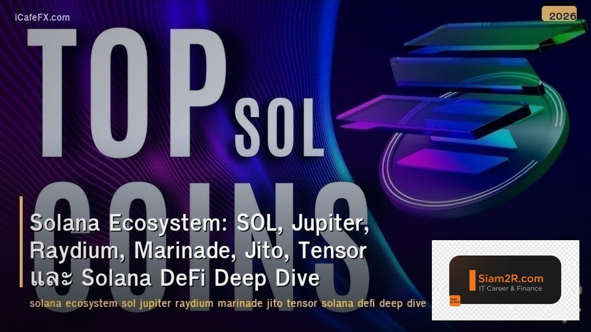 Solana Ecosystem: SOL, Jupiter, Raydium, Marinade, Jito, Tensor และ Solana DeFi