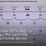 Options Greeks: Delta, Gamma, Theta, Vega, Rho และการใช้ Greeks ในการเทรด Options