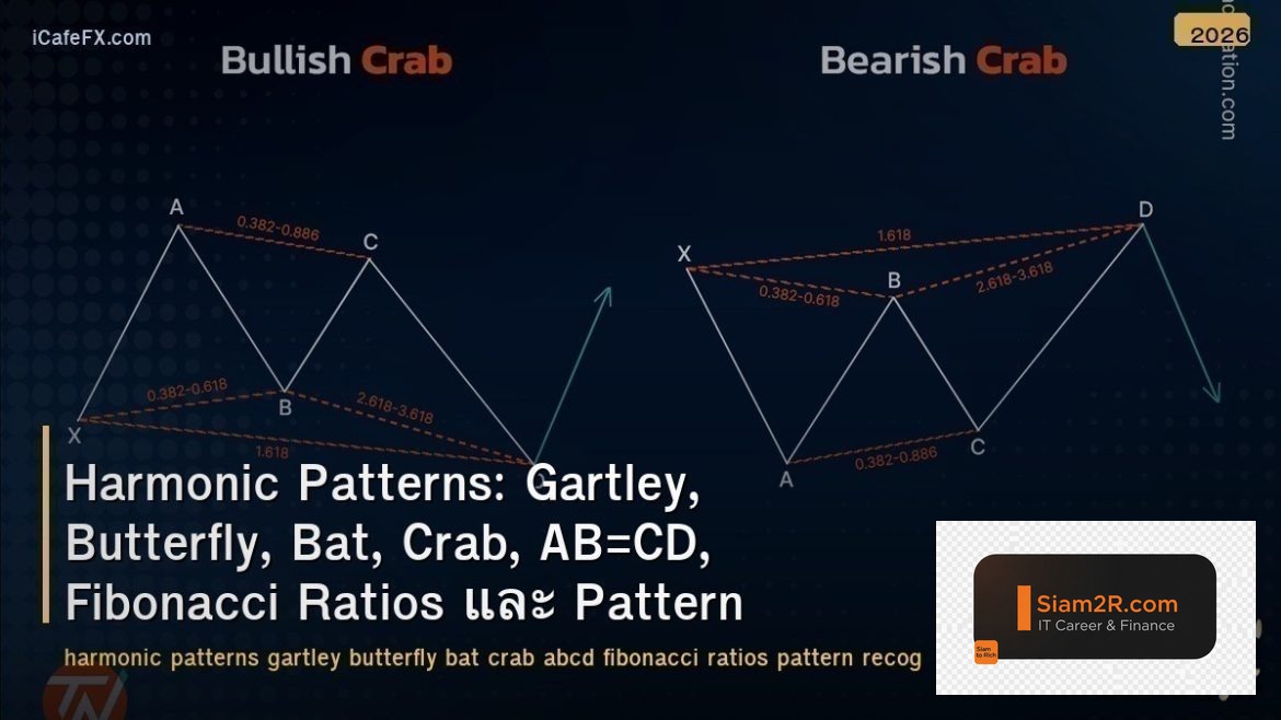Harmonic Patterns: Gartley, Butterfly, Bat, Crab, AB=CD, Fibonacci Ratios และ Pa