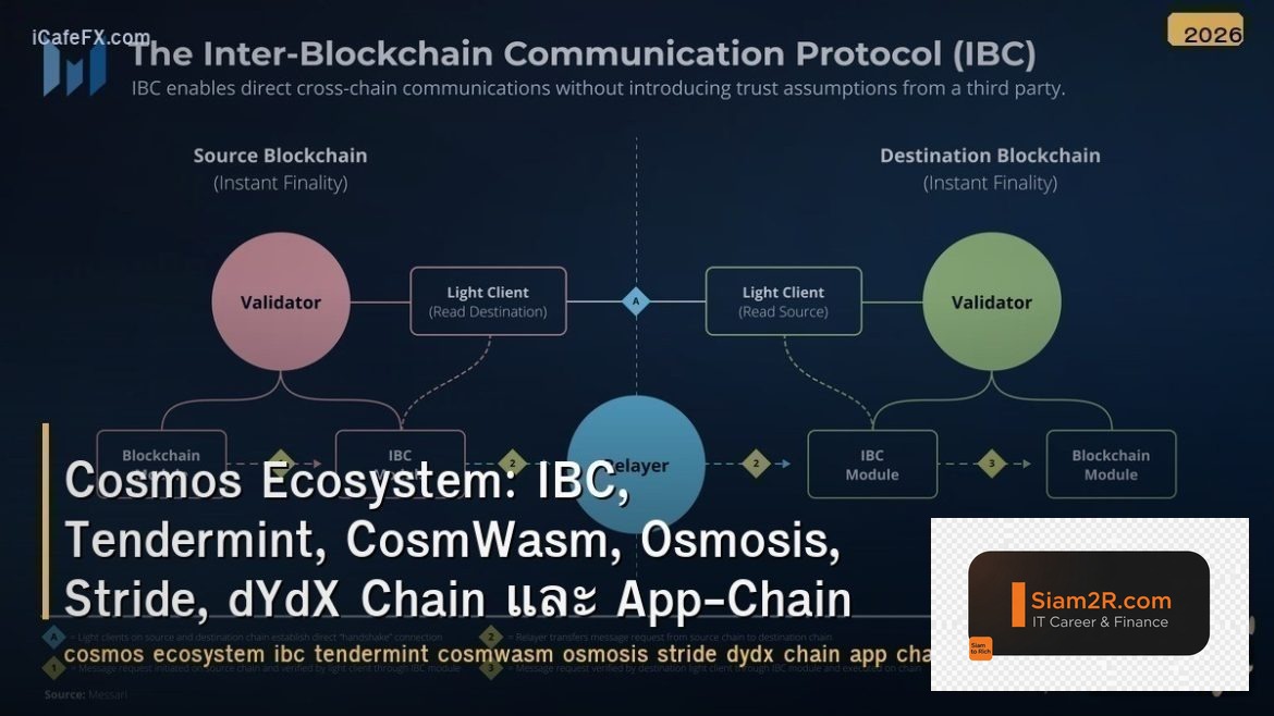 Cosmos Ecosystem: IBC, Tendermint, CosmWasm, Osmosis, Stride, dYdX Chain และ App