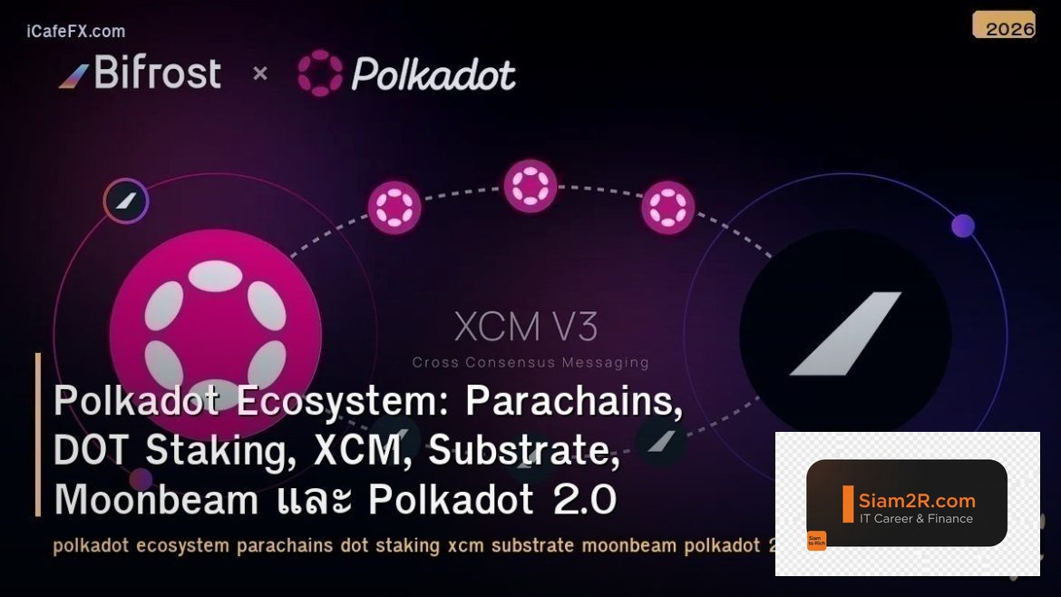 Polkadot Ecosystem: Parachains, DOT Staking, XCM, Substrate, Moonbeam และ Polkad