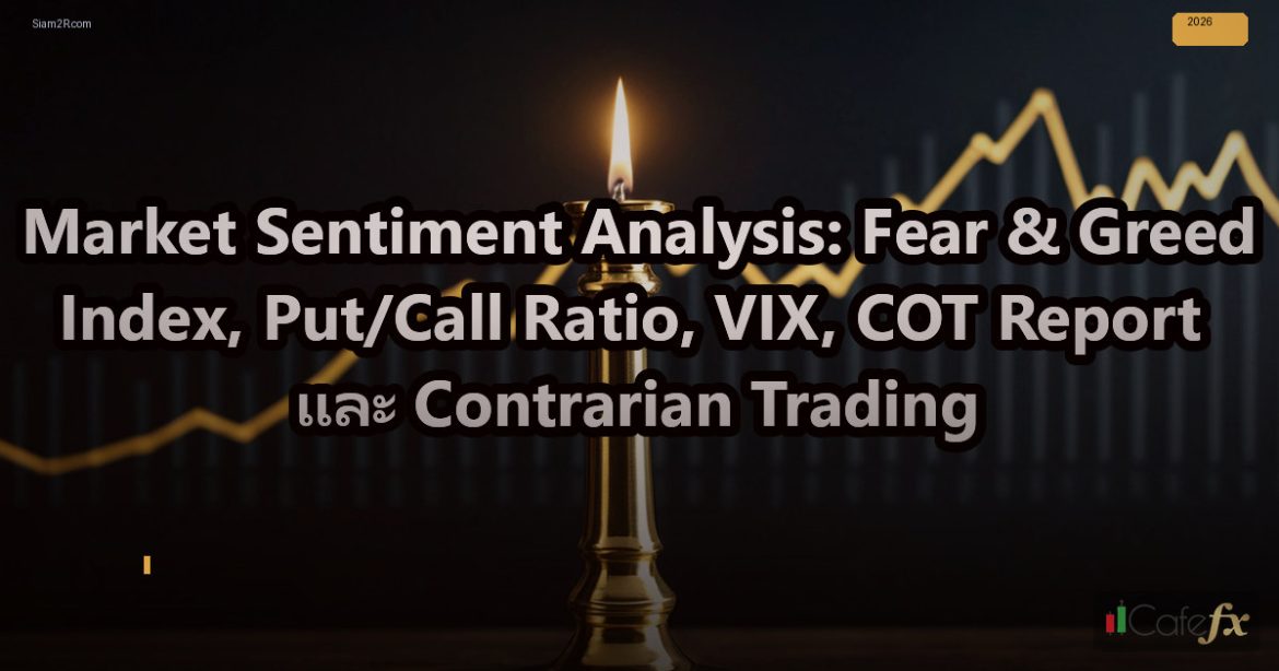 Market Sentiment Analysis: Fear & Greed Index, Put/Call Ratio, VIX, COT Report แ