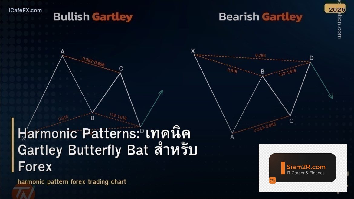 Harmonic Patterns: เทคนิค Gartley Butterfly Bat สำหรับ Forex