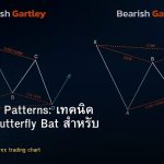 Harmonic Patterns: เทคนิค Gartley Butterfly Bat สำหรับ Forex