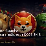 Meme Coins คืออะไร: โอกาสและความเสี่ยงของ DOGE SHIB PEPE