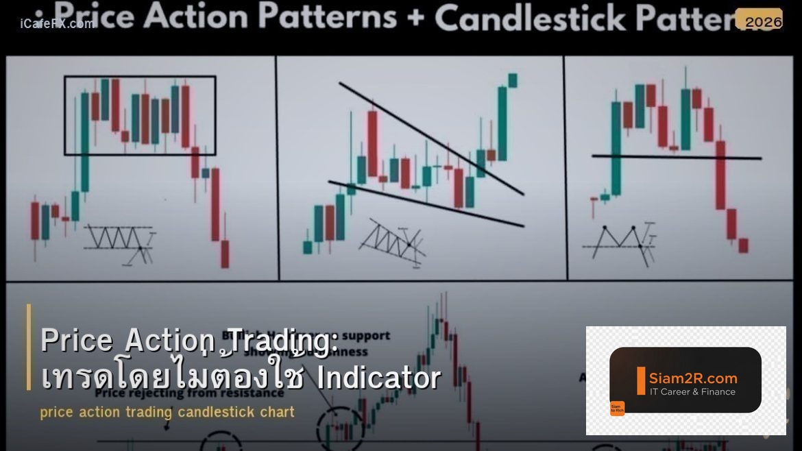 Price Action Trading: เทรดโดยไม่ต้องใช้ Indicator