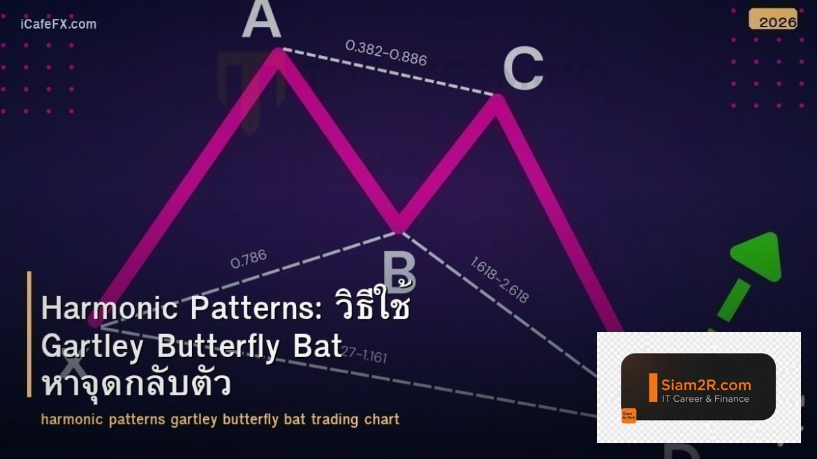 Harmonic Patterns: วิธีใช้ Gartley Butterfly Bat หาจุดกลับตัว