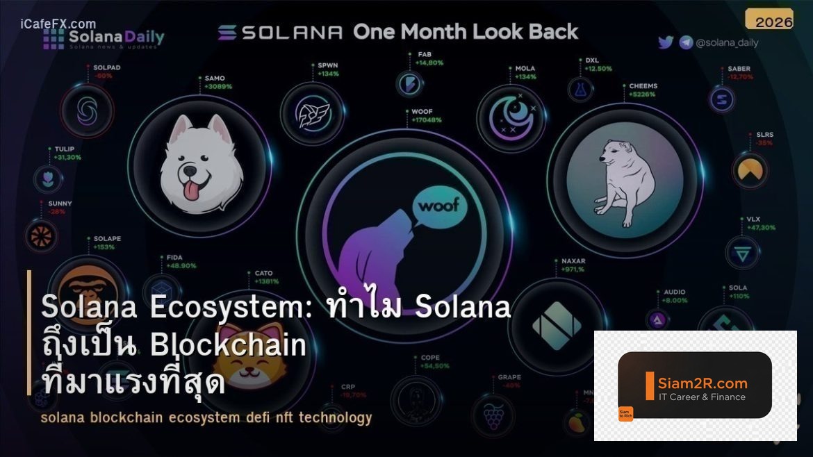 Solana Ecosystem: ทำไม Solana ถึงเป็น Blockchain ที่มาแรงที่สุด