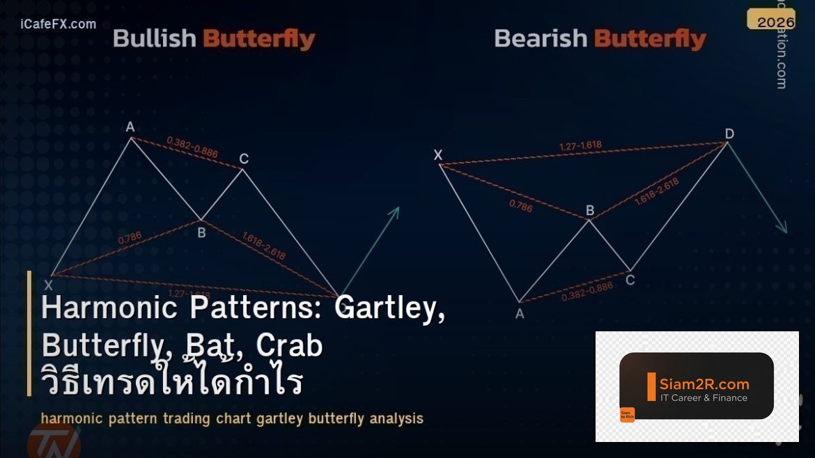 Harmonic Patterns: Gartley, Butterfly, Bat, Crab วิธีเทรดให้ได้กำไร