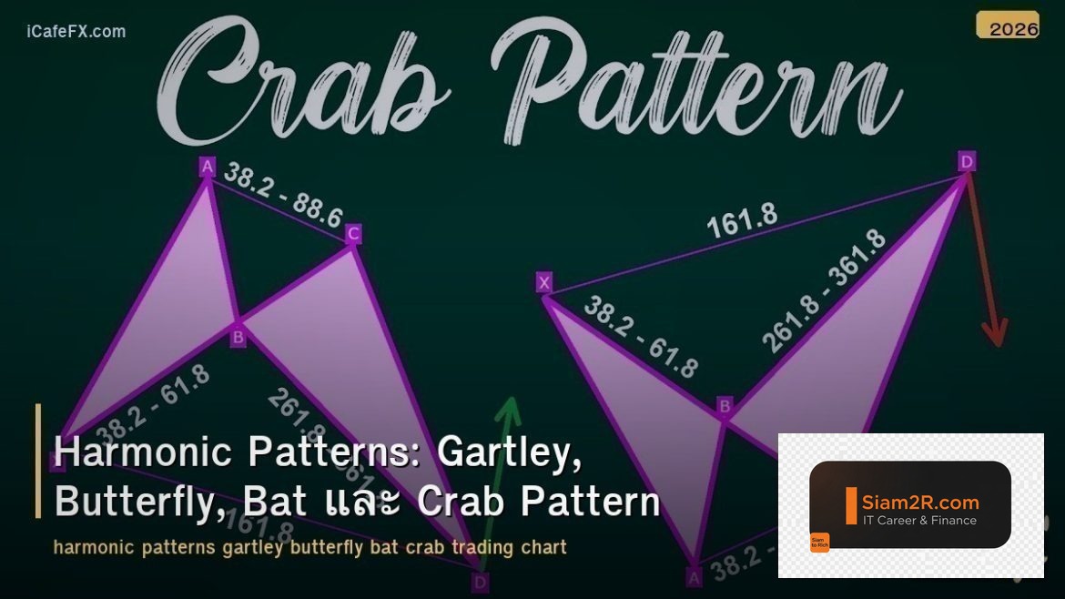 Harmonic Patterns: Gartley, Butterfly, Bat และ Crab Pattern