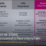 ประกันสุขภาพ 2568: เปรียบเทียบแผนประกันจากทุกบริษัท