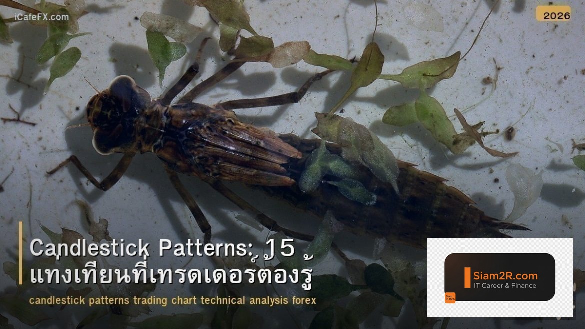 Candlestick Patterns: 15 แท่งเทียนที่เทรดเดอร์ต้องรู้