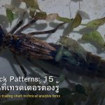 Candlestick Patterns: 15 แท่งเทียนที่เทรดเดอร์ต้องรู้