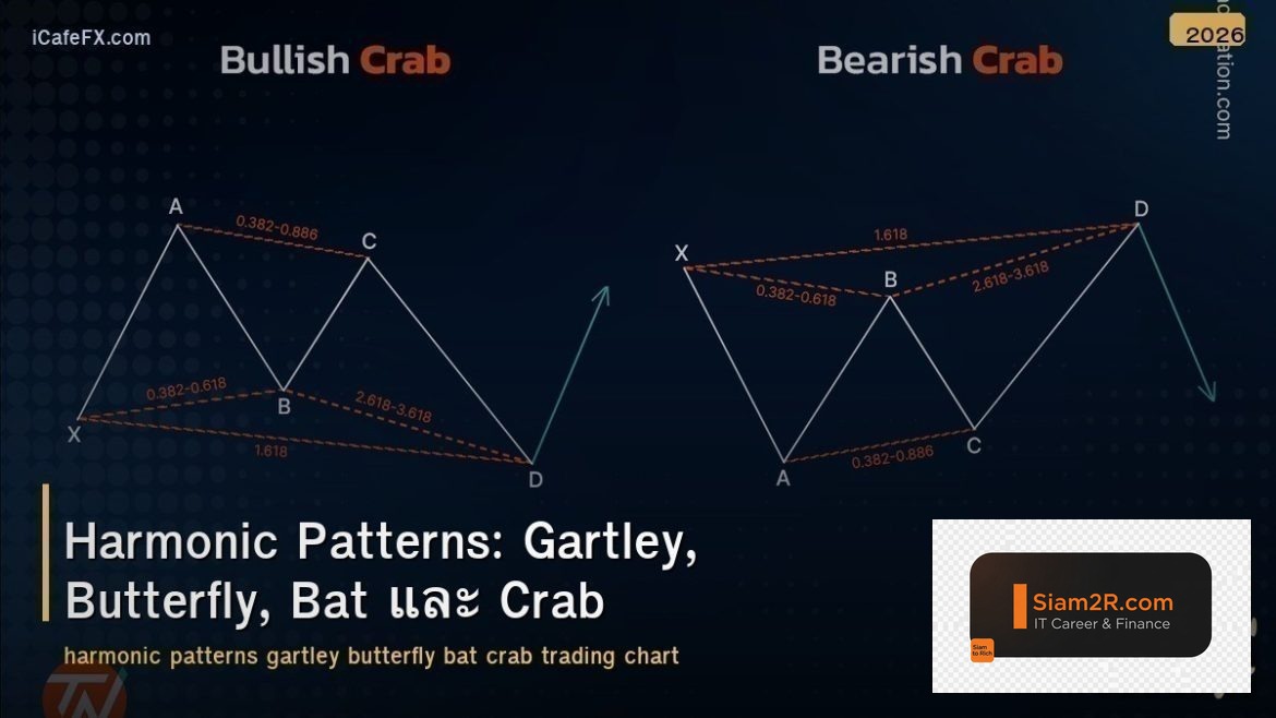 Harmonic Patterns: Gartley, Butterfly, Bat และ Crab
