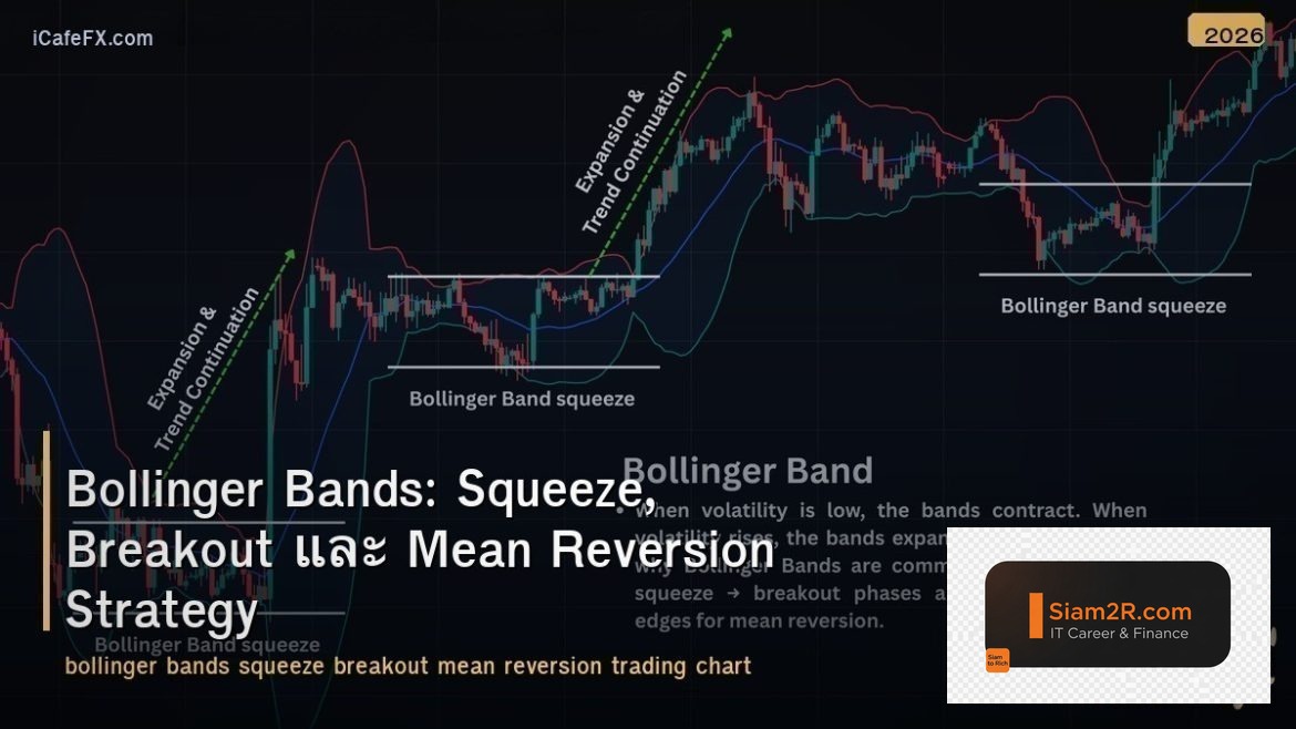 Bollinger Bands: Squeeze, Breakout และ Mean Reversion Strategy