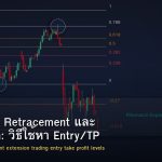 Fibonacci Retracement และ Extension: วิธีใช้หา Entry/TP