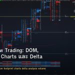 Order Flow Trading: DOM, Footprint Charts และ Delta Analysis