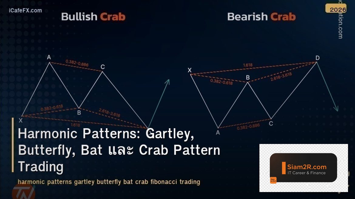 Harmonic Patterns: Gartley, Butterfly, Bat และ Crab Pattern Trading