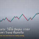 Renko Charts: วิธีใช้ Renko กรอง Noise และหา Trend ที่แท้จริง