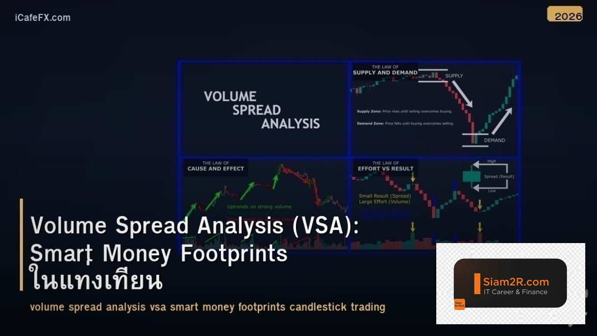 Volume Spread Analysis (VSA): Smart Money Footprints ในแท่งเทียน