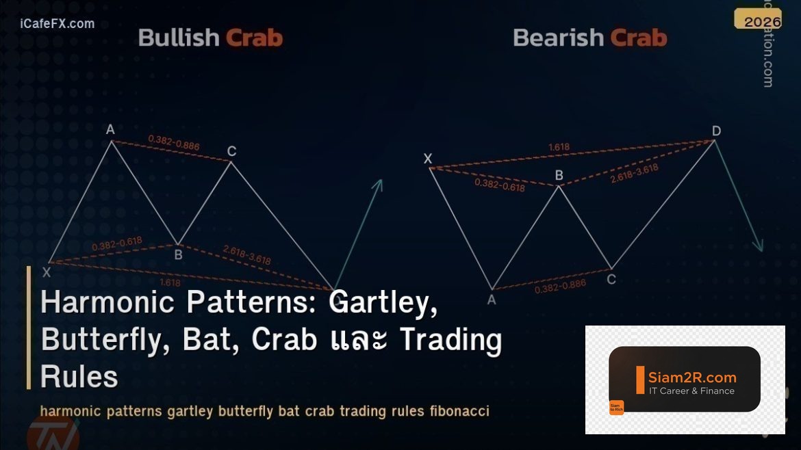 Harmonic Patterns: Gartley, Butterfly, Bat, Crab และ Trading Rules