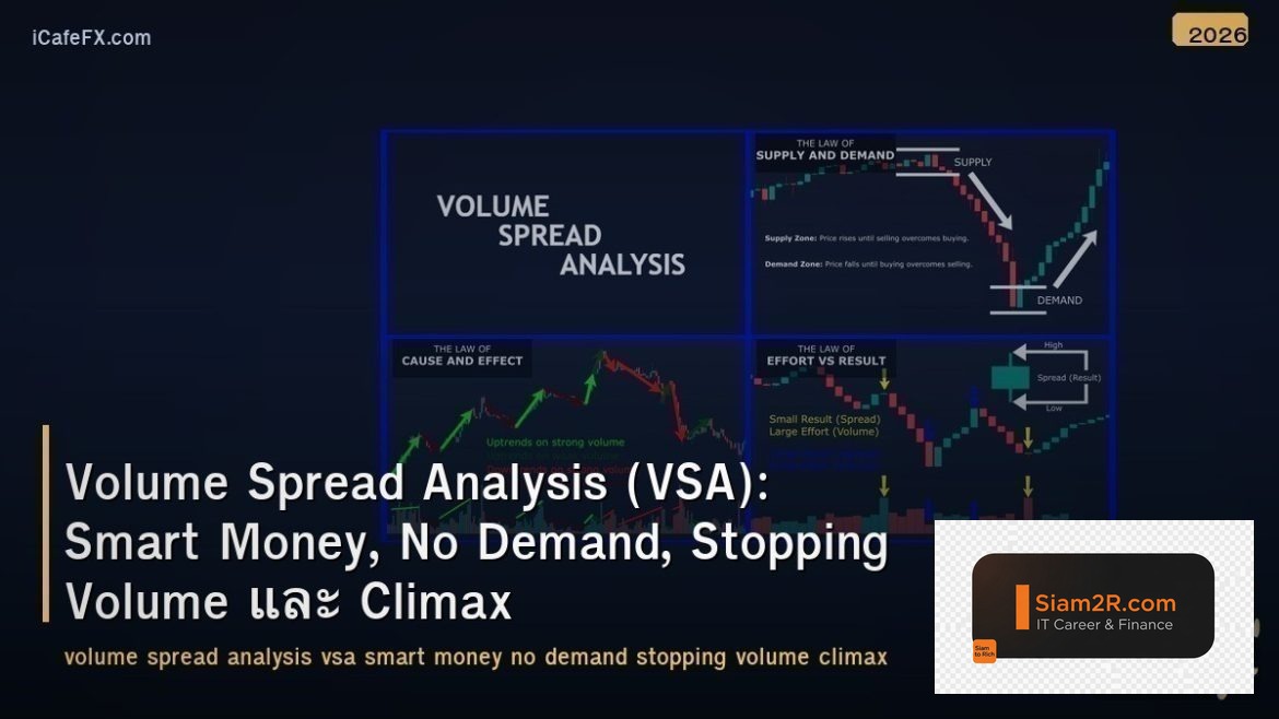 Volume Spread Analysis (VSA): Smart Money, No Demand, Stopping Volume และ Climax