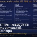 กองทุน SSF RMF ThaiESG 2568: เปรียบเทียบ, ลดหย่อนภาษี, เงื่อนไข และกลยุทธ์