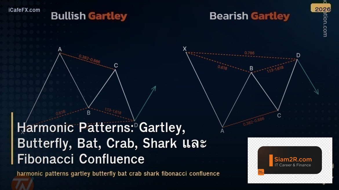 Harmonic Patterns: Gartley, Butterfly, Bat, Crab, Shark และ Fibonacci Confluence