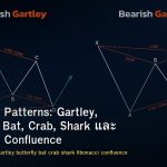 Harmonic Patterns: Gartley, Butterfly, Bat, Crab, Shark และ Fibonacci Confluence