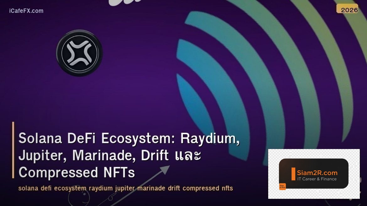 Solana DeFi Ecosystem: Raydium, Jupiter, Marinade, Drift และ Compressed NFTs