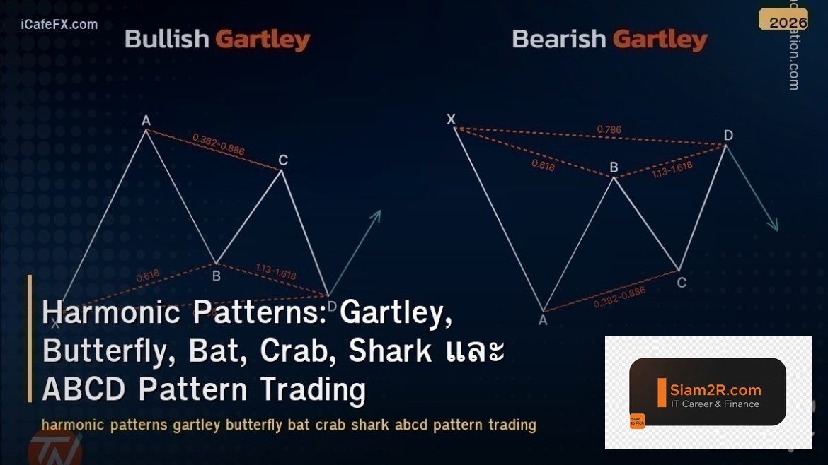 Harmonic Patterns: Gartley, Butterfly, Bat, Crab, Shark และ ABCD Pattern Trading