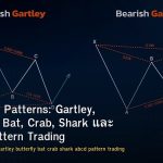 Harmonic Patterns: Gartley, Butterfly, Bat, Crab, Shark และ ABCD Pattern Trading