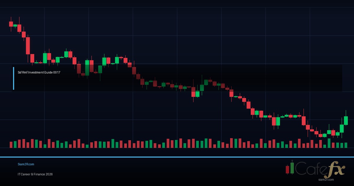 SSF RMF คืออะไร ลดภาษีได้เท่าไหร่ สรุปให้เข้าใจง่าย