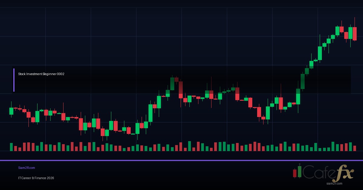 เล่นหุ้นสำหรับมือใหม่ เริ่มจากตรงไหนดี