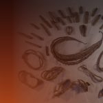 เทรด หุ้น ทอง คํา คือ