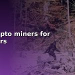 best crypto miners for beginners