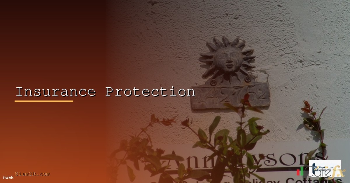 ประกันชีวิต ประกันสุขภาพ 2568 คู่มือเลือกซื้อประกันสำหรับมือใหม่