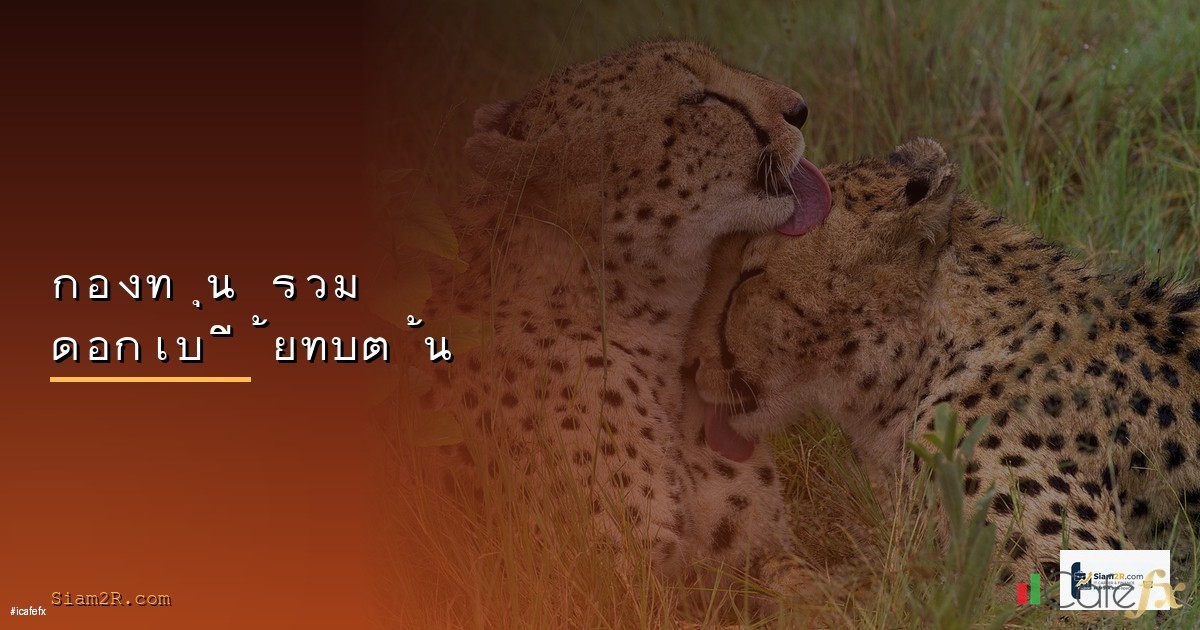 ดอกเบี้ยทบต้น (Compound Interest) พลังมหัศจรรย์สร้างความมั่งคั่ง 2568