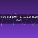 กองทุนสำรองเลี้ยงชีพ SSF RMF คืออะไร? ลดหย่อนภาษีและลงทุนระยะยาวฉบับสมบูรณ์ 2026