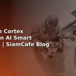 smart contracts blockchain