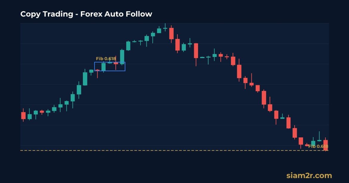 Copy Trading คืออะไร? วิธี Copy เทรด Forex อัตโนมัติ เปรียบเทียบแพลตฟอร์ม 2026