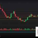 Forex Harmonic Crab แพทเทิร์นปูเทรด ยังไง 2569