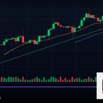 Forex Expert Advisor EA ระบบเทรดอัตโนมัติ 2569