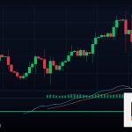 Forex Wolfe Wave คลื่นวูลฟ์เทรด 2569