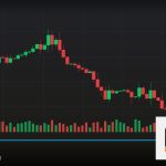 Forex Market Order คำสั่งตลาดทันที เทรดยังไง 2569