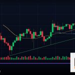 Forex Confirmation Bias อคติยืนยัน อันตราย 2569